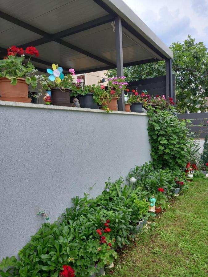 זאדאר Luxury Apartment Bella מראה חיצוני תמונה